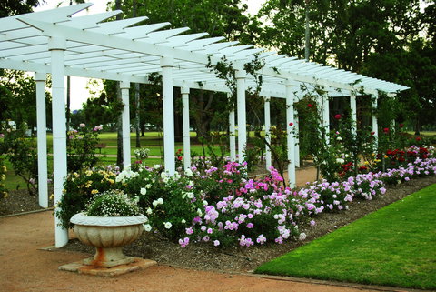 Newtown Park State Rose Garden - Accommodation QLD 1