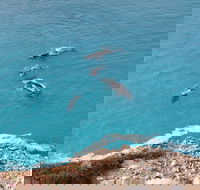 Nullarbor National Park - Accommodation QLD