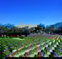 Palmview - Accommodation QLD
