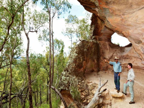 Pilliga Forest - Accommodation QLD 0