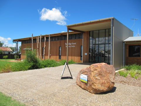 Pilliga Forest - Accommodation QLD 2