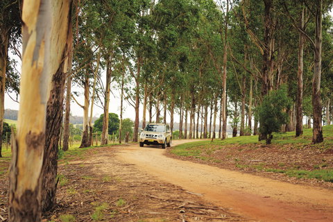 Proston - Accommodation QLD 1