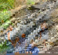 Queens Park Waterfall - Accommodation QLD