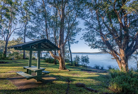 Queens Lake Picnic Area - Accommodation QLD 0