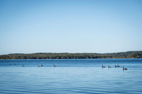 Queens Lake Picnic Area - Accommodation QLD 1