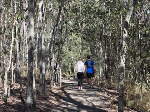 Six Mile Creek, Bluff Lookout And Little White Rock Trails - Accommodation QLD 0