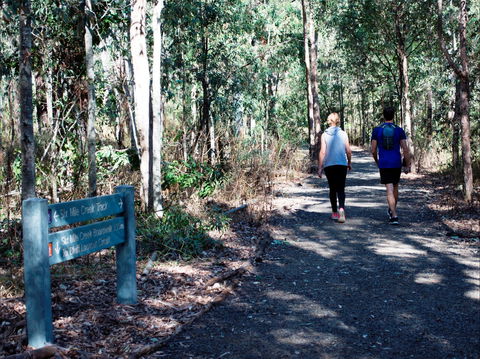 Six Mile Creek, Bluff Lookout And Little White Rock Trails - Accommodation QLD 2