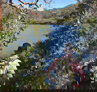 Sphinx Memorial to Bobbin Head Loop Track - Accommodation QLD