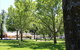 Tallangatta Triangles Park - thumb 0