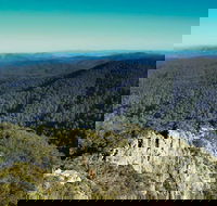 Tapin Tops National Park - Accommodation QLD
