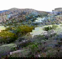 The Bellbird - Accommodation QLD