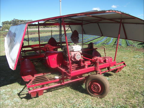 The Super Strawberry - Accommodation QLD 2