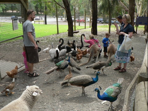 The Big Rocking Horse And The Toy Factory - Accommodation QLD 2