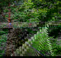 Thunderbird Park  - Tamborine Mountain Gold Coast Region - Accommodation QLD