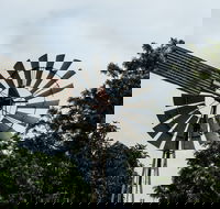 Tinaberries - Accommodation QLD