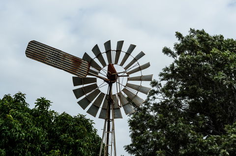 Tinaberries - Accommodation QLD 0