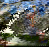 TreeTops Western Sydney - Accommodation QLD