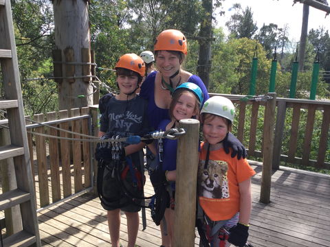 Trees Adventure - Glen Harrow Park - Accommodation QLD 1