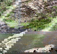 Twin Falls Circuit Springbrook National Park - Accommodation QLD