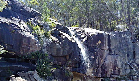 Ugly Corner Falls Walking Track - Accommodation QLD 0