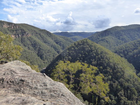 Vale Of Avoca - Accommodation QLD 0