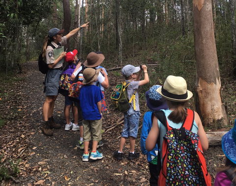 Walkabout Creek Discovery Centre - Accommodation QLD 1