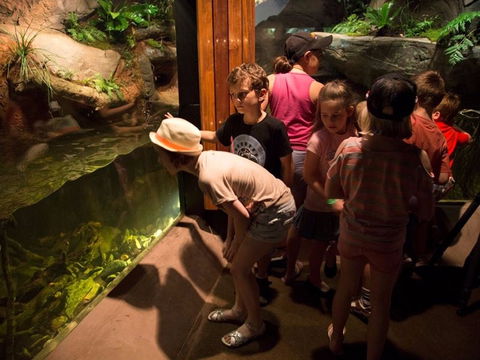 Walkabout Creek Discovery Centre - Accommodation QLD 2