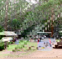 Wallingat Forest Drive - Accommodation QLD