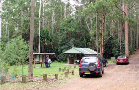 Wallingat Forest Drive - Accommodation QLD 0