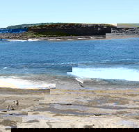 Wasp Head Picnic Area - Accommodation QLD