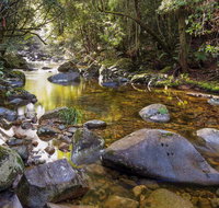 Washpool Walking Track - Accommodation QLD