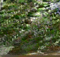 Way Way Creek Road Drive - Accommodation QLD