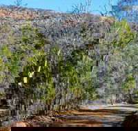 Weddin Gap to Black Spring Loop Trail - Accommodation QLD