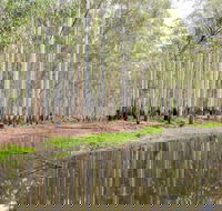 Wonga Wetlands - Accommodation QLD