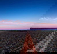 Yanga National Park - Accommodation QLD