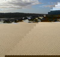 Yeagerup Sand Dunes - Accommodation QLD