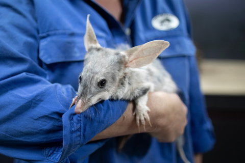 9 Day Outback Adventure - Accommodation QLD 0