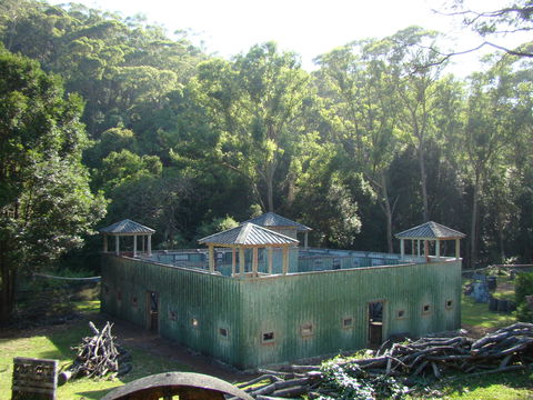 Alpha Paintball - Accommodation QLD 0