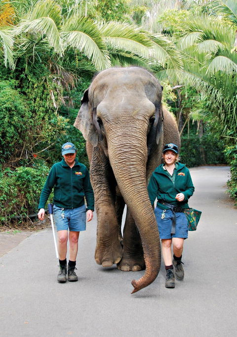 Animals And Family Fun - Accommodation QLD 2
