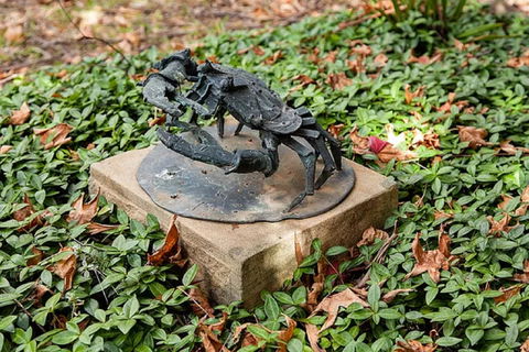 Antony Symons - Retrospective Of A Life's Work - Accommodation QLD 0