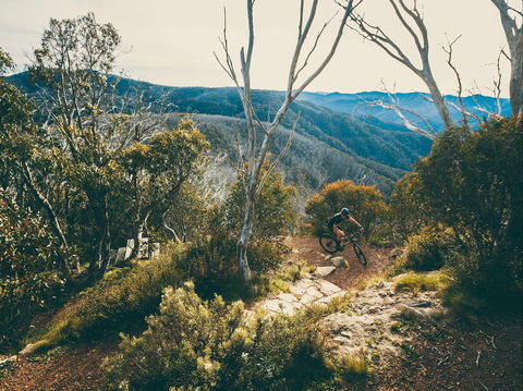 Australian Alpine Epic Mountain Bike Trail - Accommodation QLD 1