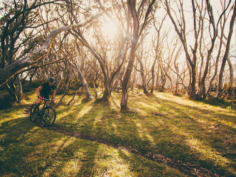 Australian Alpine Epic Mountain Bike Trail - Accommodation QLD 2