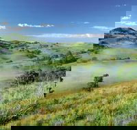 Bega - Accommodation QLD