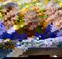 Bella Lavender Estate - Accommodation QLD