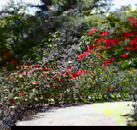 Benalla Botanical Gardens - Accommodation QLD