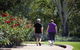 Benalla Botanical Gardens - thumb 1
