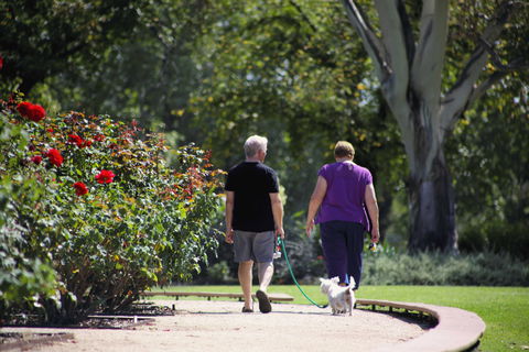 Benalla Botanical Gardens - Accommodation QLD 1