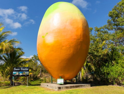 Big Mango - Accommodation QLD 0