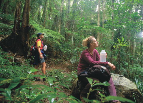 Binna Burra, Lamington National Park - Accommodation QLD 0