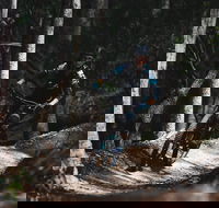 Boomerang Farm Bike Park - Accommodation QLD